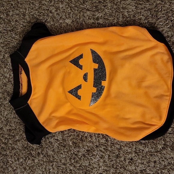 Top Paw Puppy Halloween Outfit Pumpkin Size Small to Medium - Picture 1 of 5